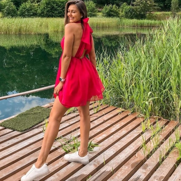 LAST 1️⃣-NWT Zara Mini Organza Dress - Picture 14 of 15